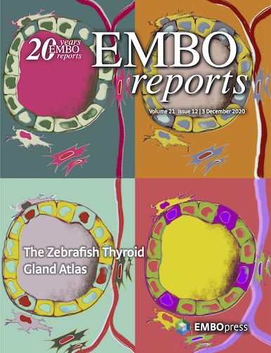 EMBO_Cover